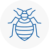 Bed Bug Extermination In Towcester