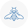 Bee Nest Removal Towcester