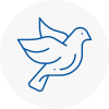 Bird Prevention Towcester