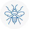 Towcester Hornet Nest Removals