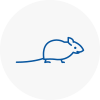 Mice Exterminators In Towcester