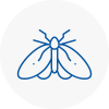 Moth Control Specialists In Towcester
