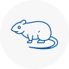 Rat Control Towcester