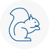 Towcester Rodent Removals